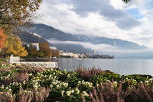 Load image into Gallery viewer, <transcy>Martin Jensen World Tour Frames // Switzerland Lake</transcy>