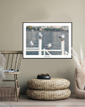 Load image into Gallery viewer, <transcy>Martin Jensen World Tour Frames // Switzerland Seagulls</transcy>