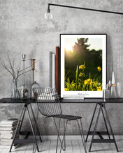 Load image into Gallery viewer, <transcy>Martin Jensen World Tour Frames // Northern Ireland Flower</transcy>