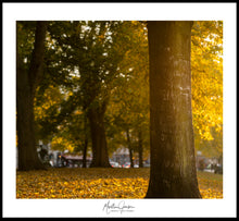 Load image into Gallery viewer, <transcy>Martin Jensen World Tour Frames // Copenhagen Fall</transcy>