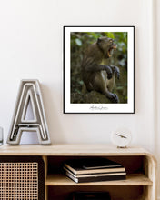 Load image into Gallery viewer, <transcy>Martin Jensen World Tour Frames // Khao Phing Kan Monkey</transcy>
