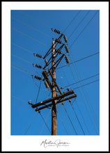 Load image into Gallery viewer, <transcy>Martin Jensen World Tour Frames // Hollywood</transcy>