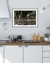 Load image into Gallery viewer, <transcy>Martin Jensen World Tour Frames // Belfast Mushrooms</transcy>