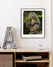Load image into Gallery viewer, <transcy>Martin Jensen World Tour Frames // Khao Phing Kan Waving Monkey</transcy>