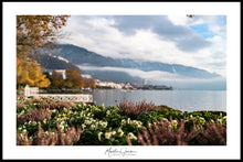 Load image into Gallery viewer, <transcy>Martin Jensen World Tour Frames // Switzerland Lake</transcy>