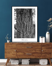 Indlæs billede til gallerivisning World Tour Frames // Portugal Tree