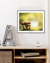 Load image into Gallery viewer, <transcy>Martin Jensen World Tour Frames // Northern Ireland Mushrooms</transcy>