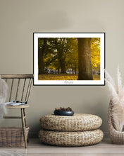 Load image into Gallery viewer, <transcy>Martin Jensen World Tour Frames // Copenhagen Fall</transcy>