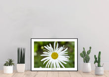 Load image into Gallery viewer, <transcy>Martin Jensen World Tour Frames // Portugal Flower</transcy>