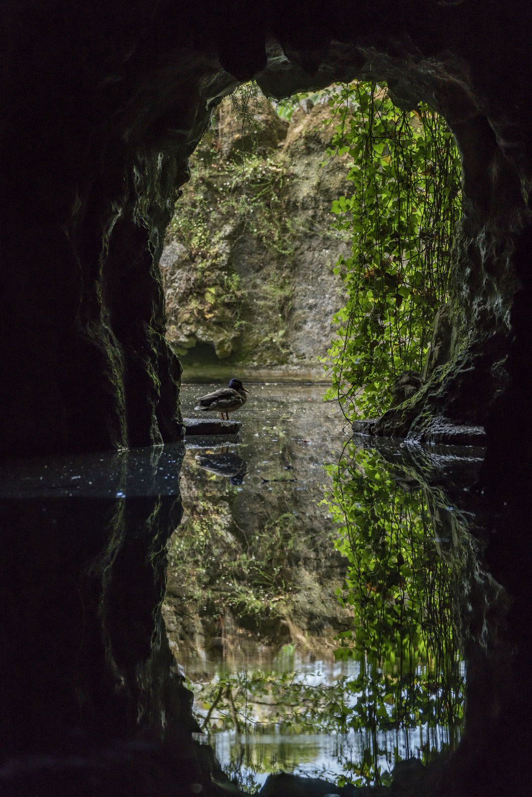 World Tour Frames // Portugal Cave
